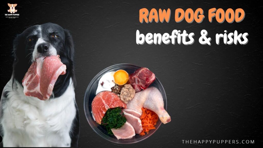 Raw dog food: benefits and risks