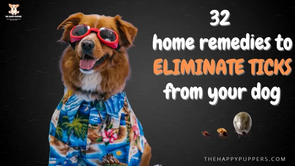 32 home remedies to eliminate ticks from your pup