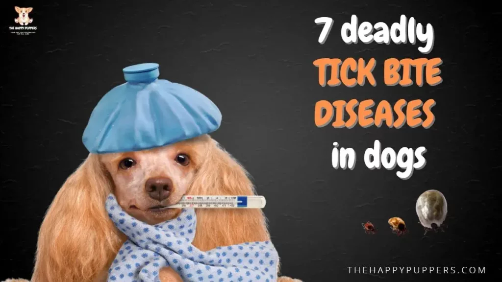 7 deadly tick bite diseases in dogs