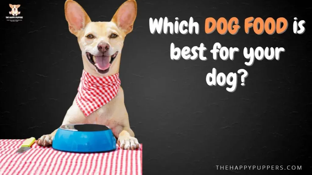 Which dog food is best for your dog?