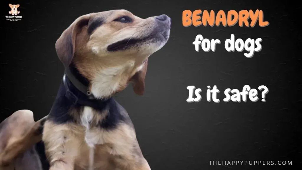 Is Benadryl safe for dogs?