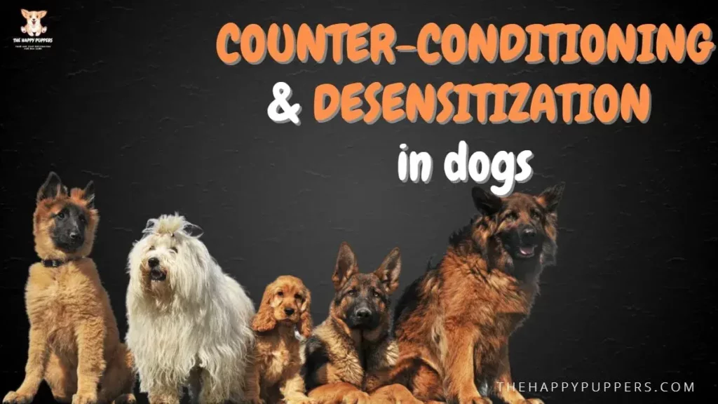 Counter-conditioning and desensitization in dogs