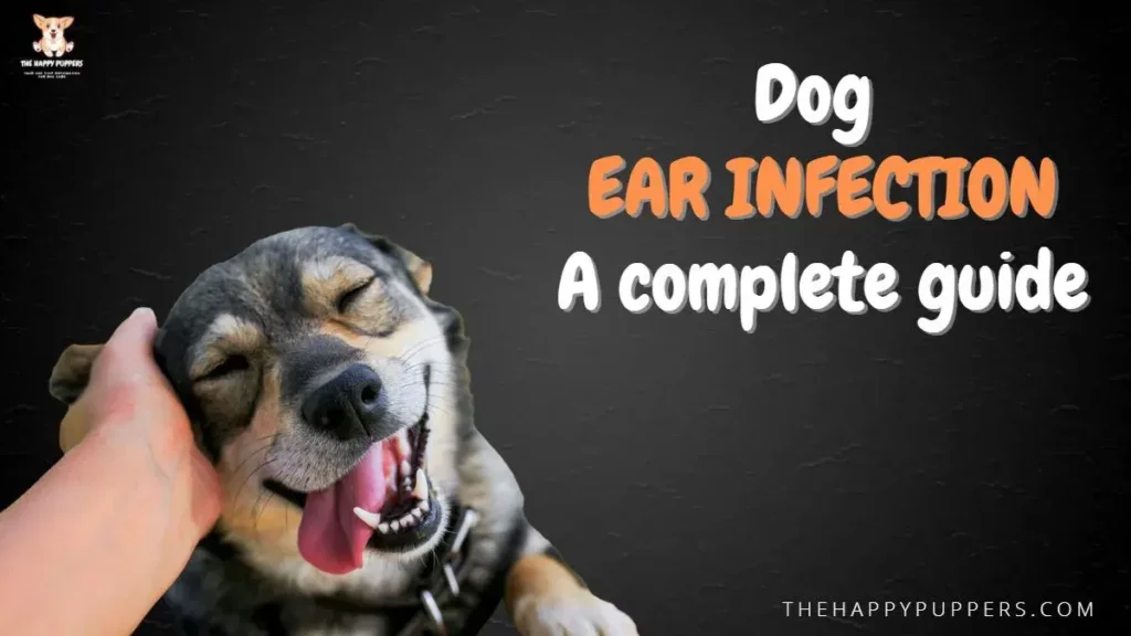 Dog ear infection: a complete guide