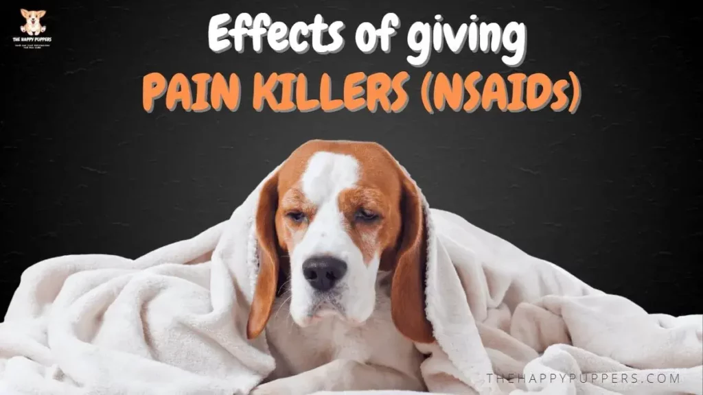 Effects of giving painkillers (NSAIDs) to dogs