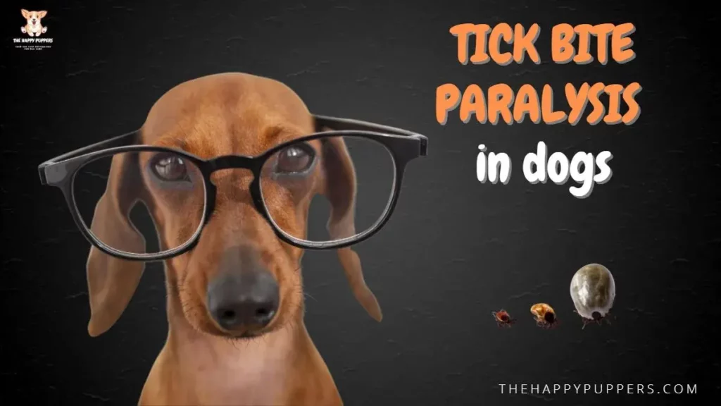 Tick bite paralysis in dogs