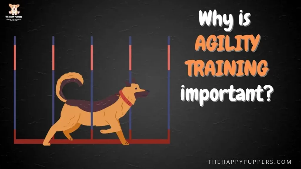 Why is agility training important?