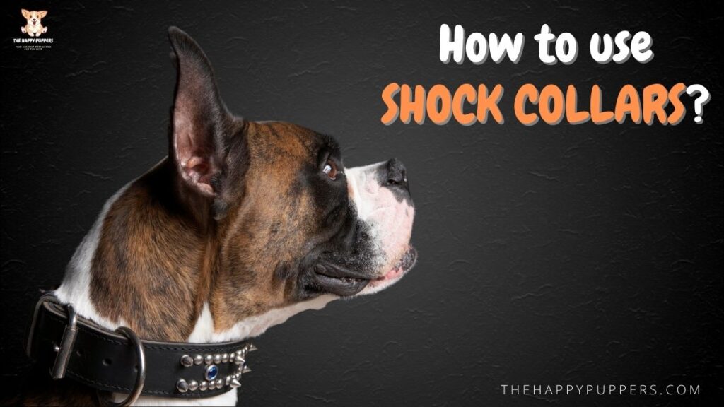 How to use shock collars?