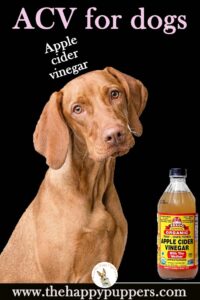 Apple cider vinegar for dogs