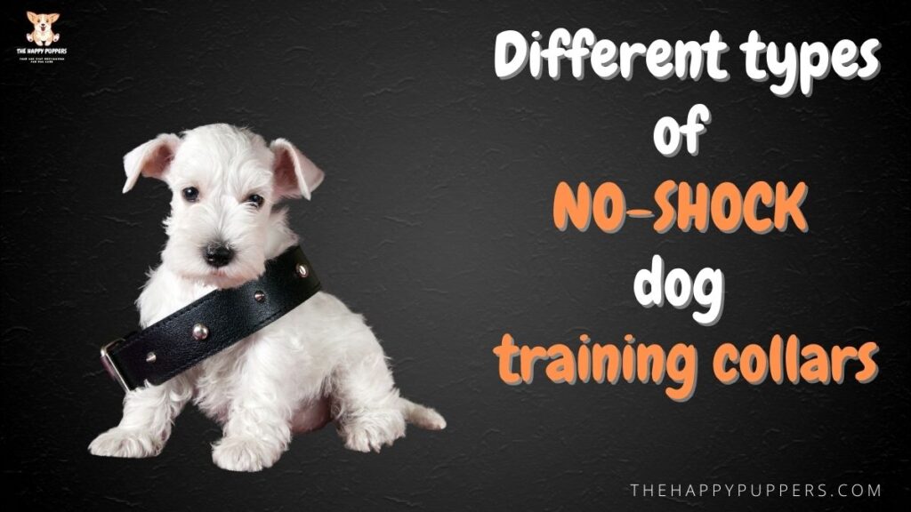 Different types of no-shock training collars