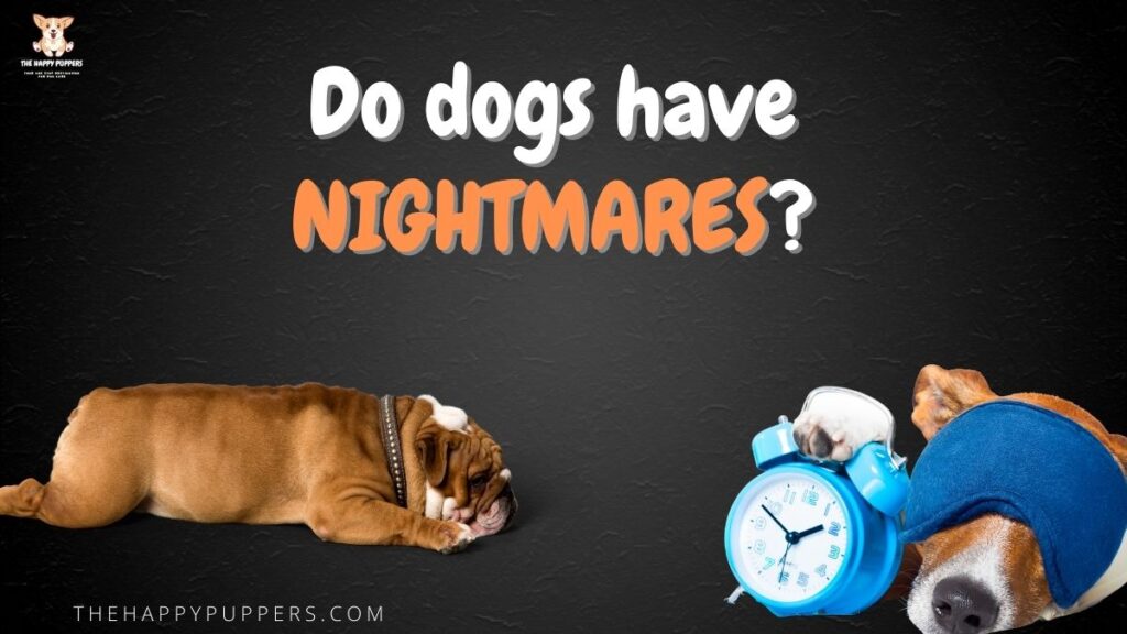 Do dogs have nightmares?