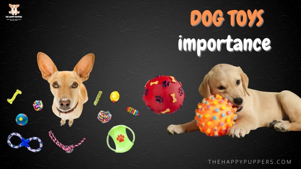 Dog toys importance