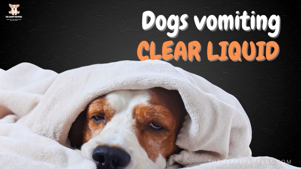 Dogs vomiting clear liquid