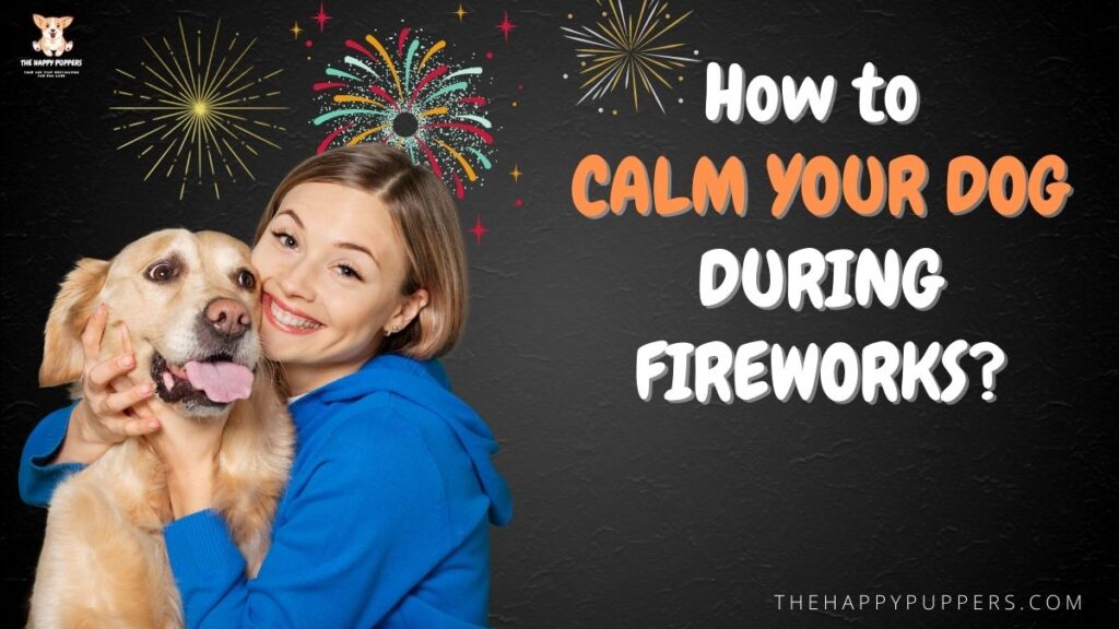 How to calm your dog during fireworks?