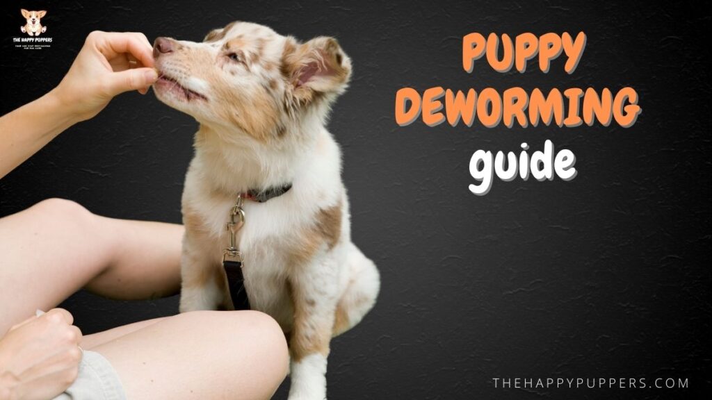 puppy deworming guide