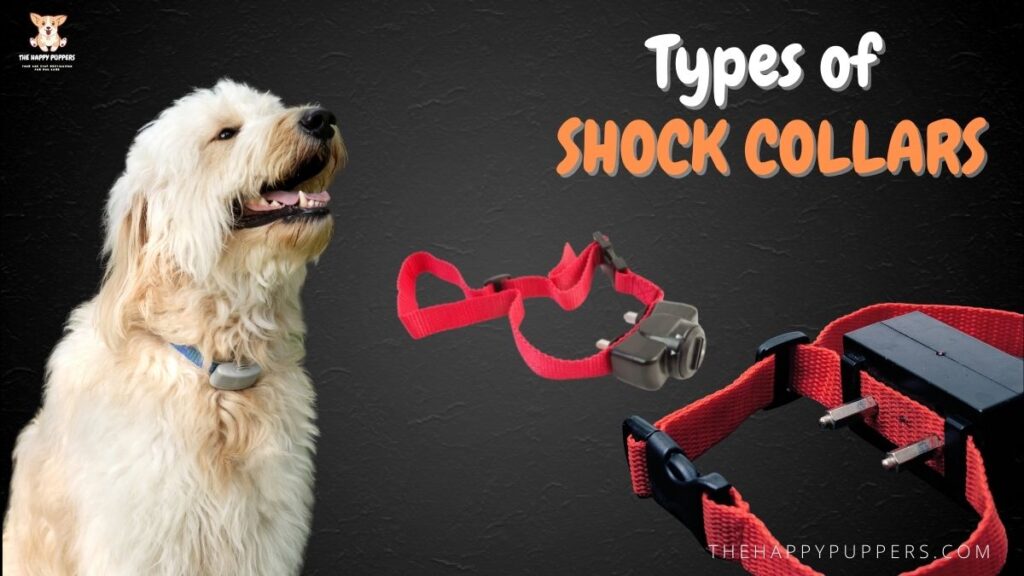 Types of shock collars
