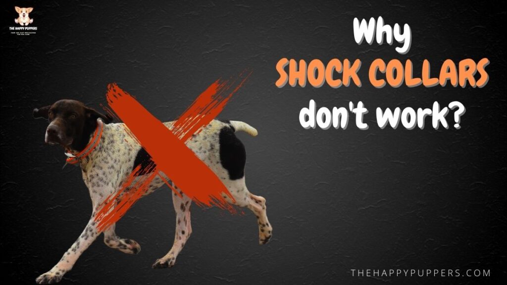 Why shock collars don't work?