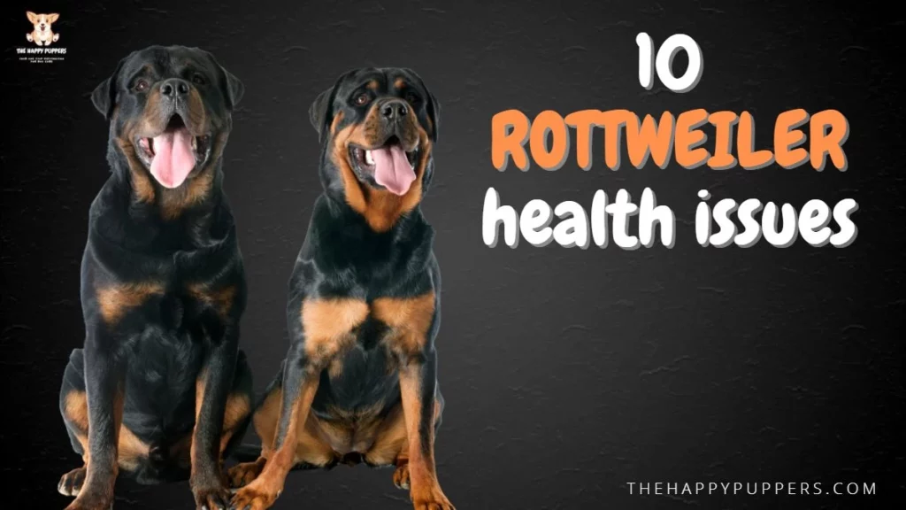 10 Rottweiler health issues