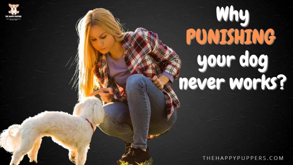 Why punishing your dog never works?
