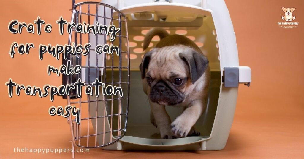 Crate training for puppies can make transportation easy