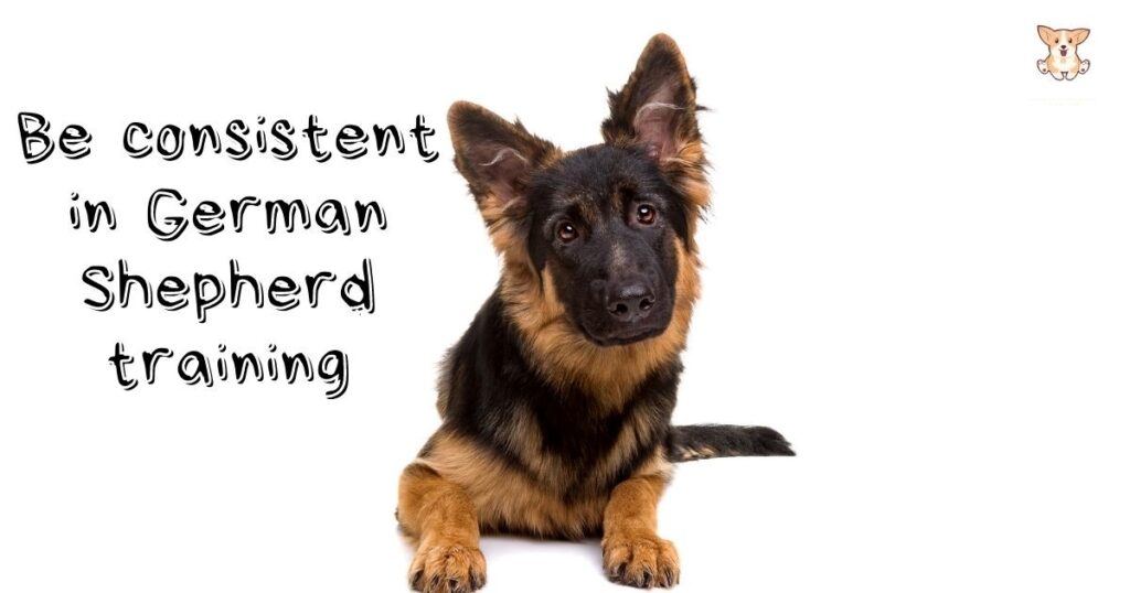 Excellent tips for training German Shepherds