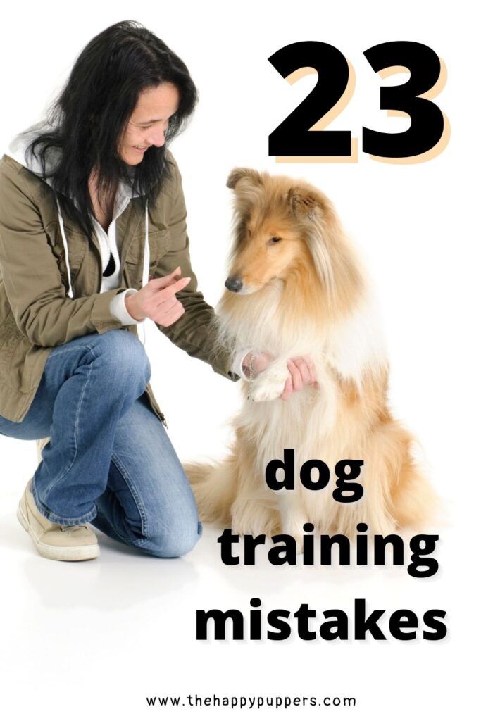 23 mistakes in dog training