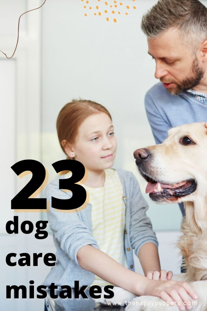 23 dog care mistakes pin