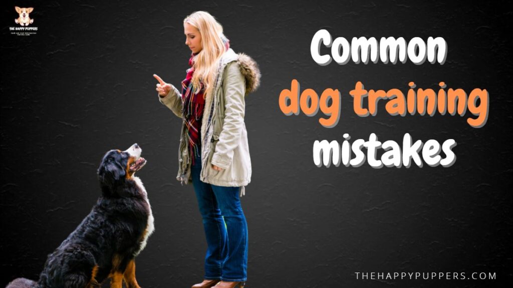 Common dog training mistakes