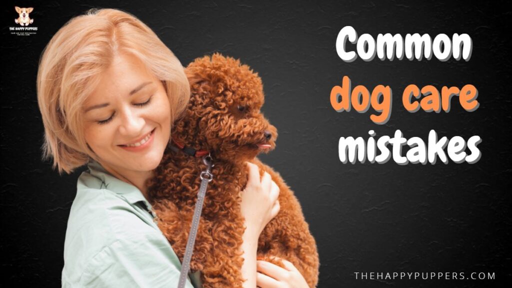 Common dog care mistakes