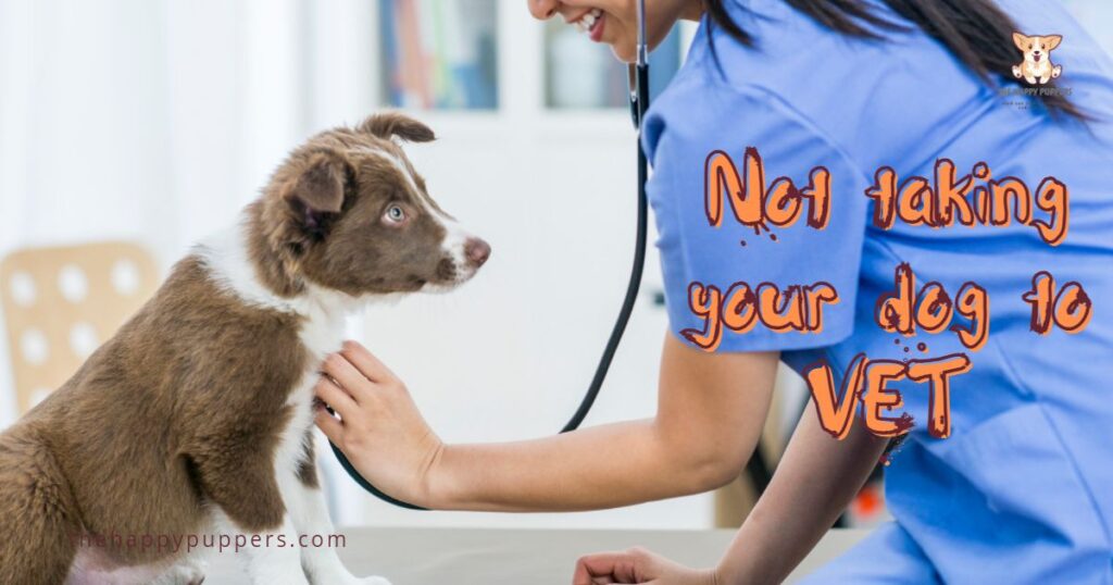 Not taking your dog to vet