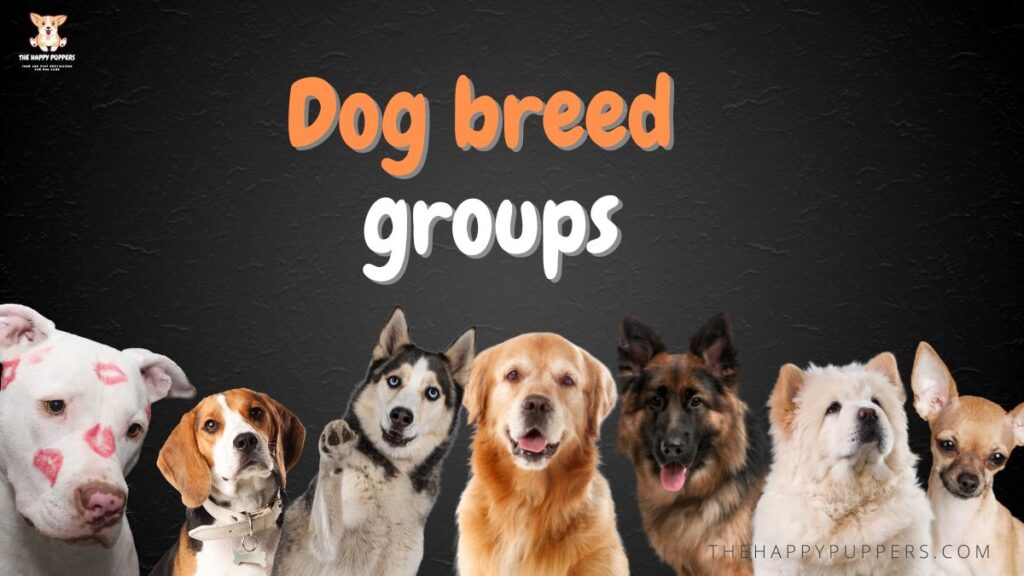 dog breed groups