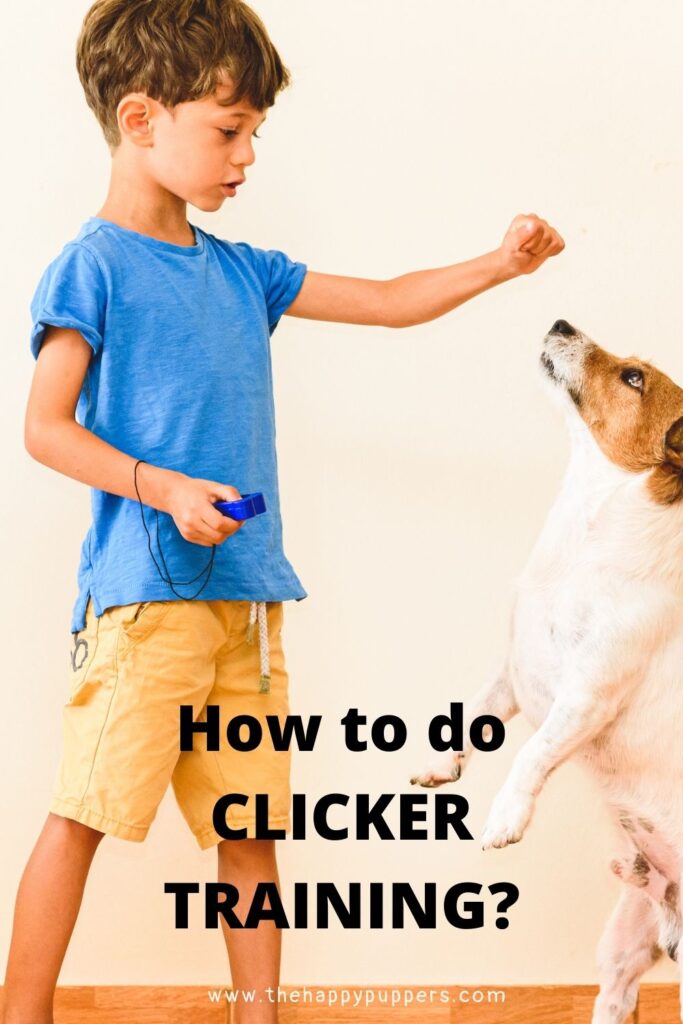How to do clicker training?