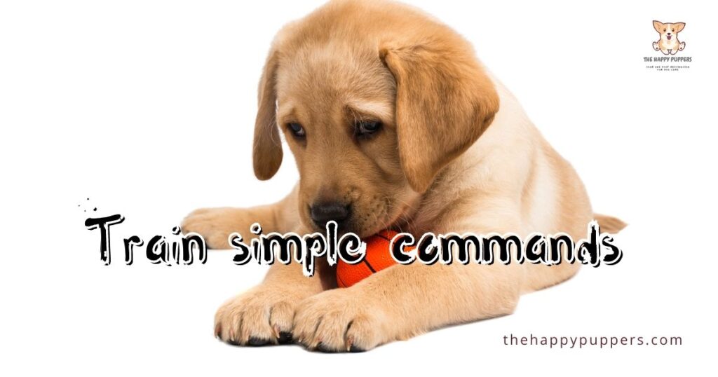 Train simple commands