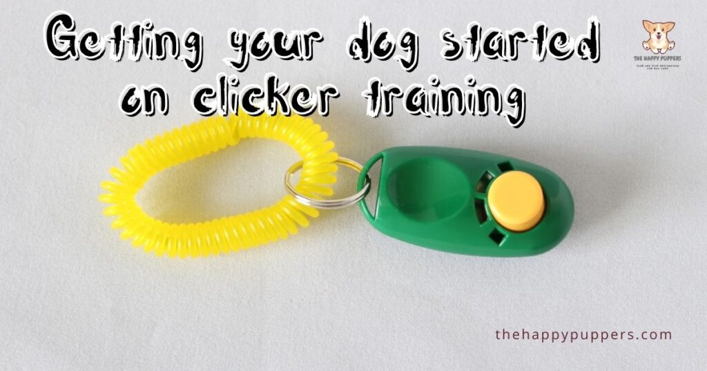 Getting your dog started on clicker training