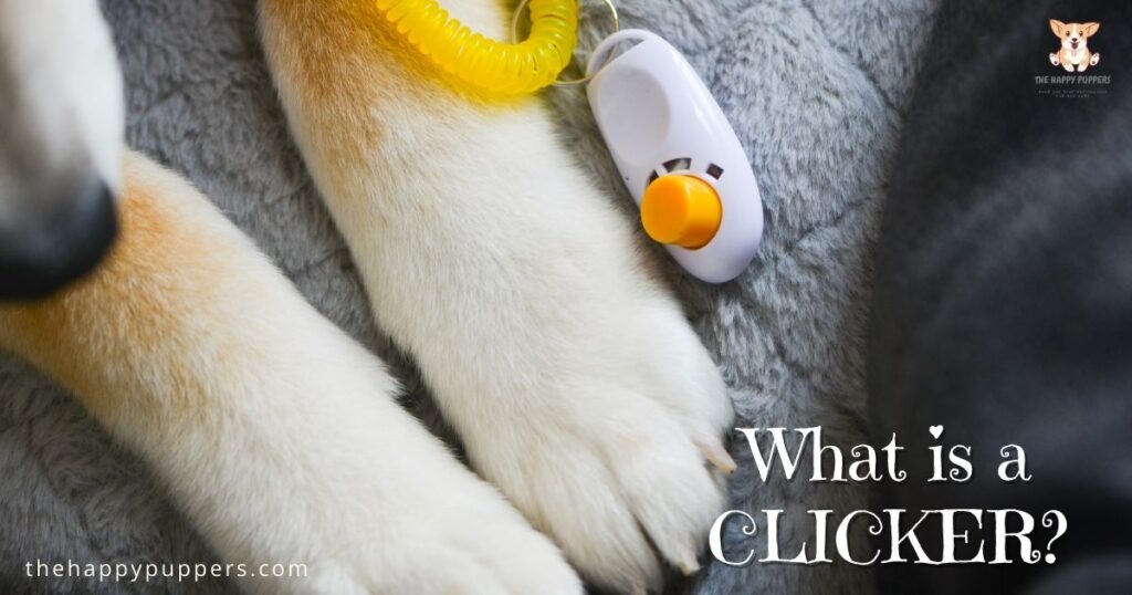 What is a clicker?