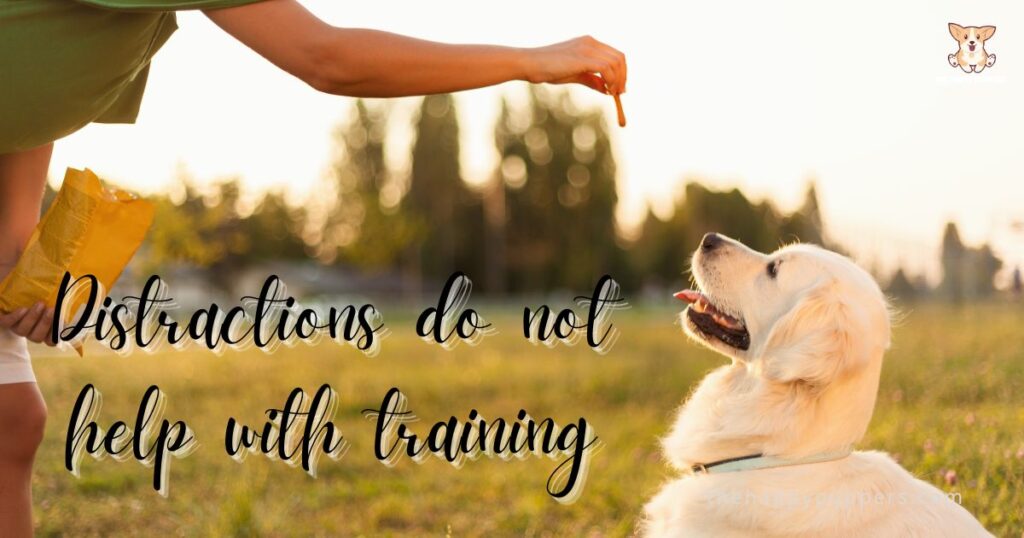Distractions do not help with training