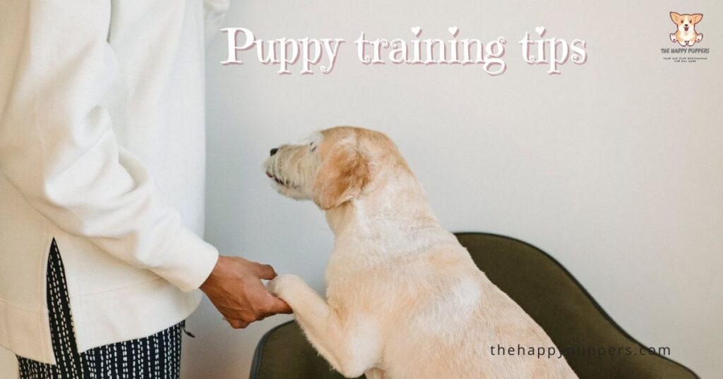 puppy training tips