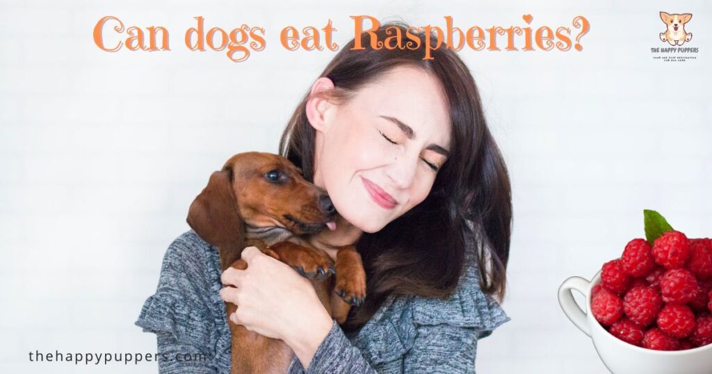 can dogs eat raspberries