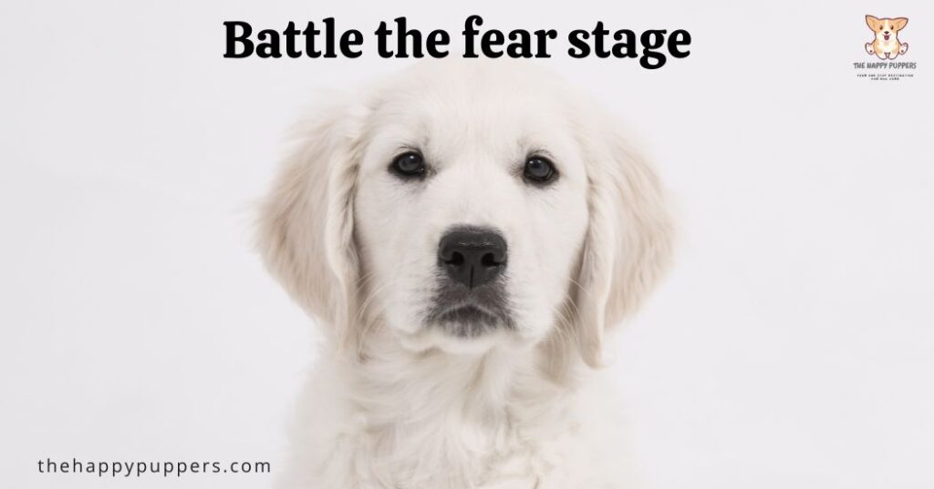 Battle the fear stage
