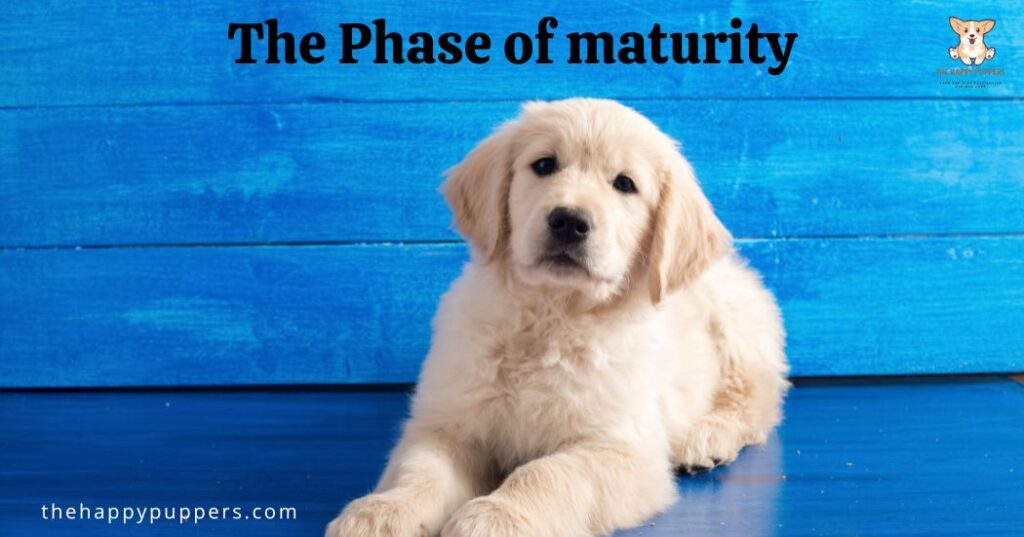 The phase of maturity