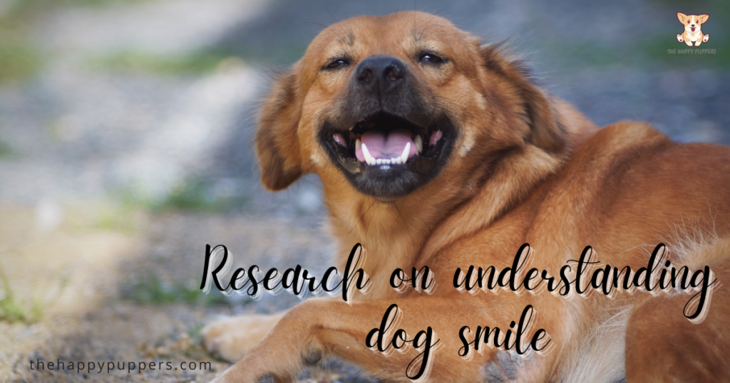 Research on understanding dog smile