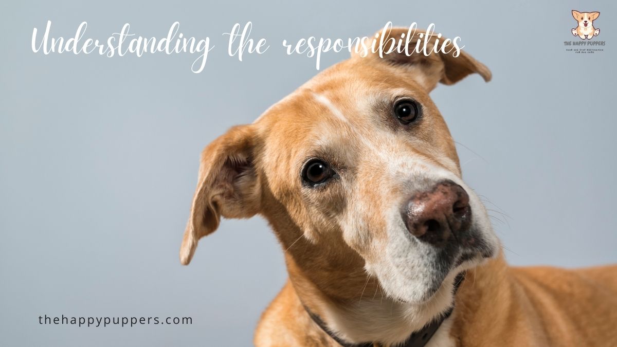Rescue dog tips and tricks for care The Happy Puppers