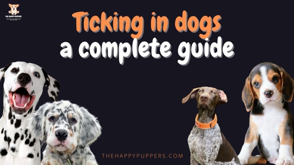 Ticking in dogs