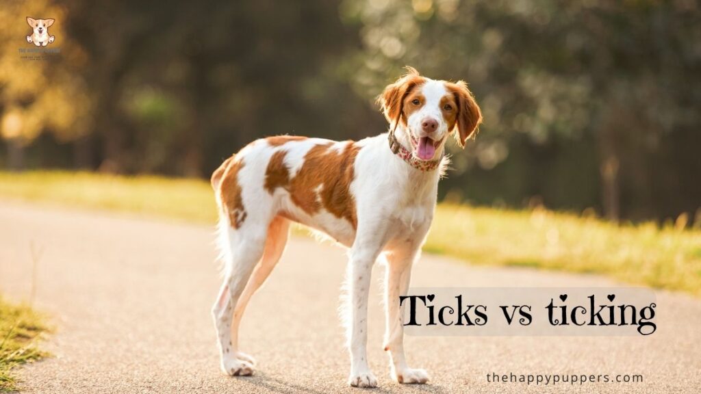 Ticks vs ticking