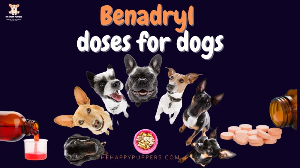 benadryl doses for dogs