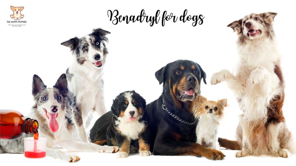 benadryl for dogs