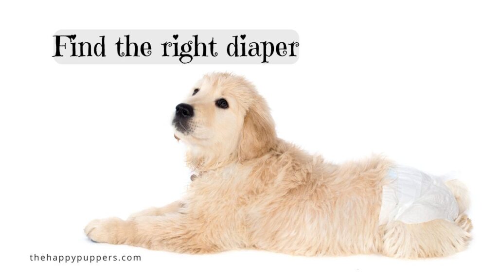 find the right diaper