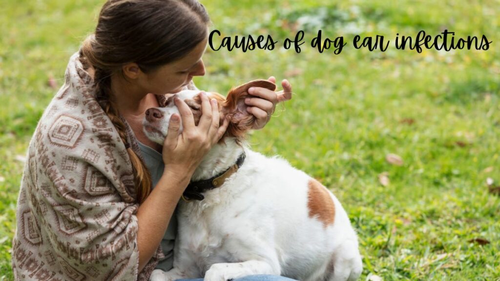 Causes of dog ear infections