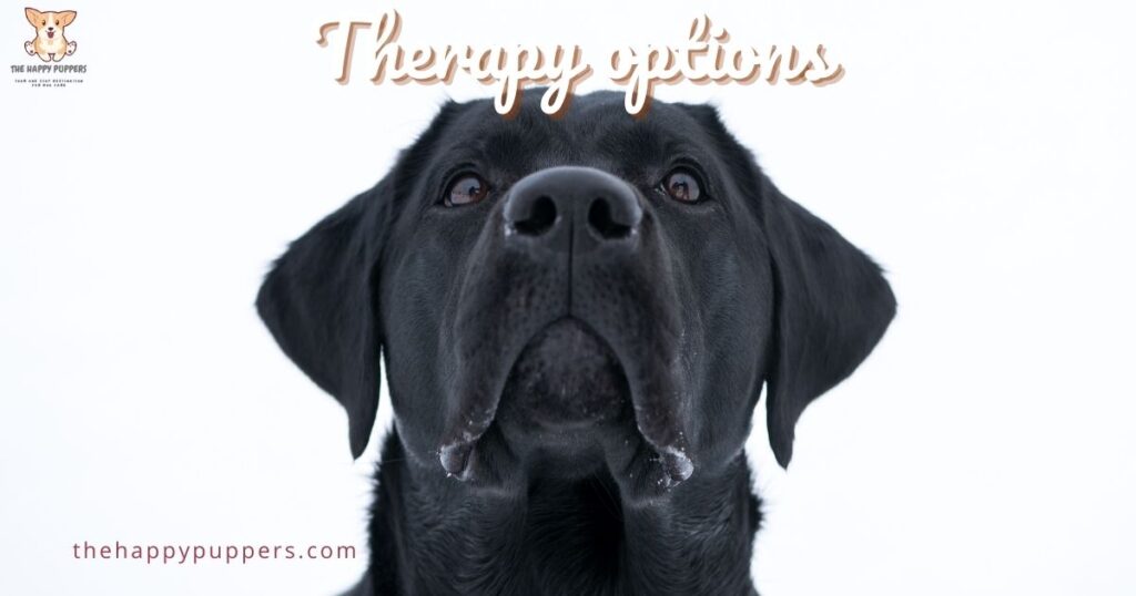 Therapy options