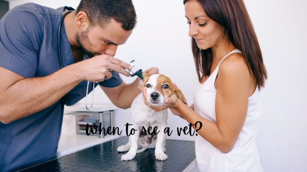 When to see a vet