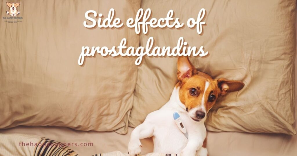 side effects of prostaglandins